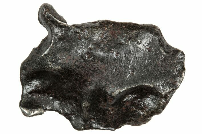 Fusion Crusted Sikhote-Alin Iron Meteorite ( g) - Russia #333098